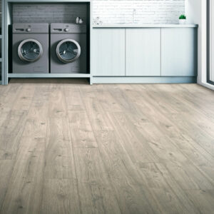 Laundry room Laminate flooring | Gainesville CarpetsPlus COLORTILE