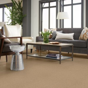 Living room Carpet flooring |  Gainesville CarpetsPlus COLORTILE