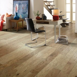 Hardwood flooring |  Gainesville CarpetsPlus COLORTILE