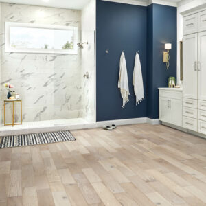 Waterproof Laminate flooring |  Gainesville CarpetsPlus COLORTILE