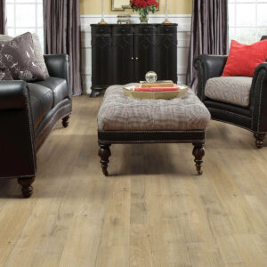 Laminate flooring | Gainesville CarpetsPlus COLORTILE