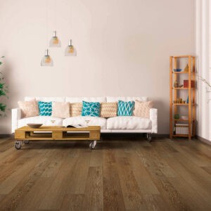 Vinyl flooring for living room |  Gainesville CarpetsPlus COLORTILE