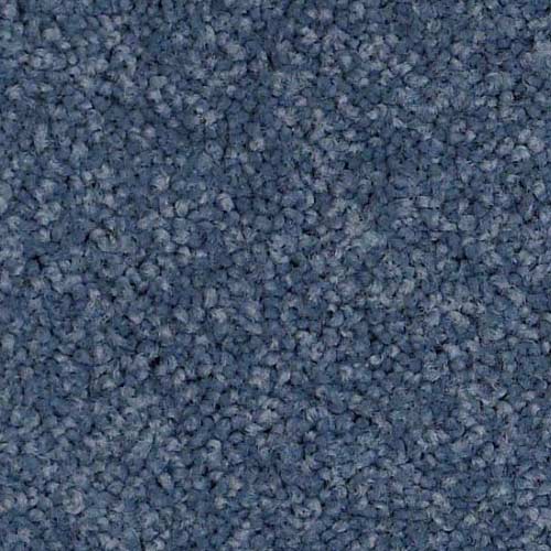 In-Stock-Polyester | Gainesville CarpetsPlus COLORTILE