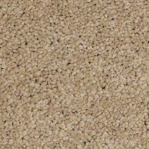 In-Stock-nylon | Gainesville Carpet Plus